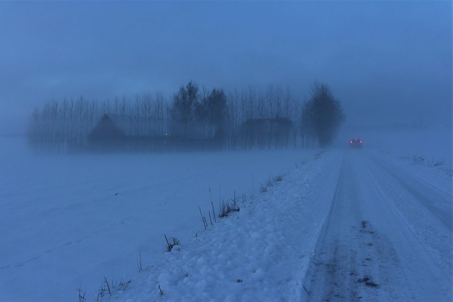 Niebla en carretera