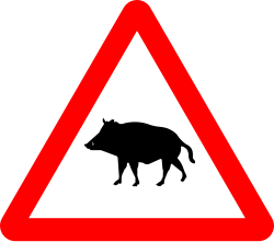 Paso de animales en libertad
